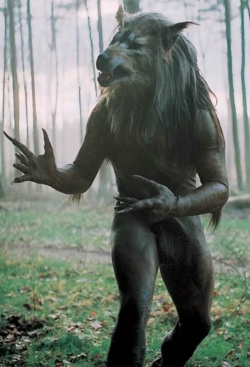 A werewolf from “Dog Soldiers” to brighten up your #MonsterSuitMonday