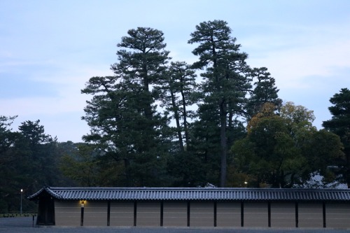 Kyoto Gyoen National Garden 京都御苑Kyoto, Japan