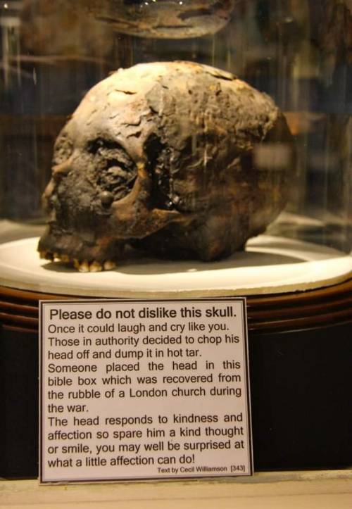 Please Do Not Dislike This Skull. 