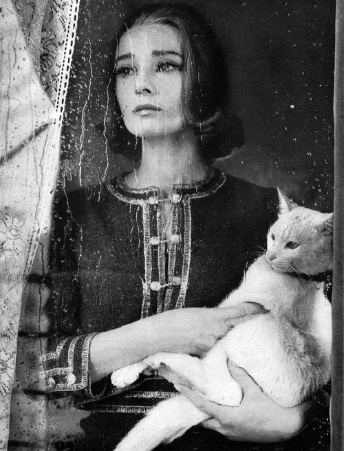 audreyandmarilyn: Audrey Hepburn photographed by Richard Avedon for Harper’s Bazaar, September 1959.