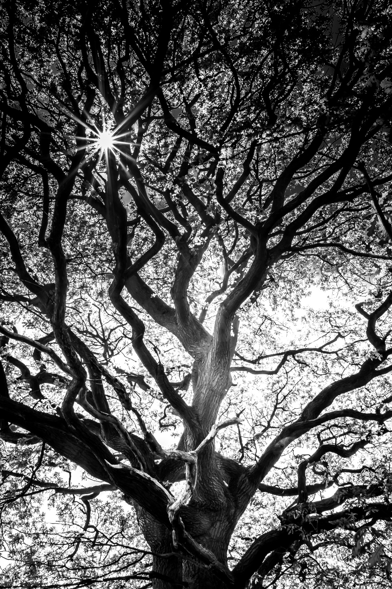 mbphotograph:  Your Wicked CurvesFollow me for more original travel photography-