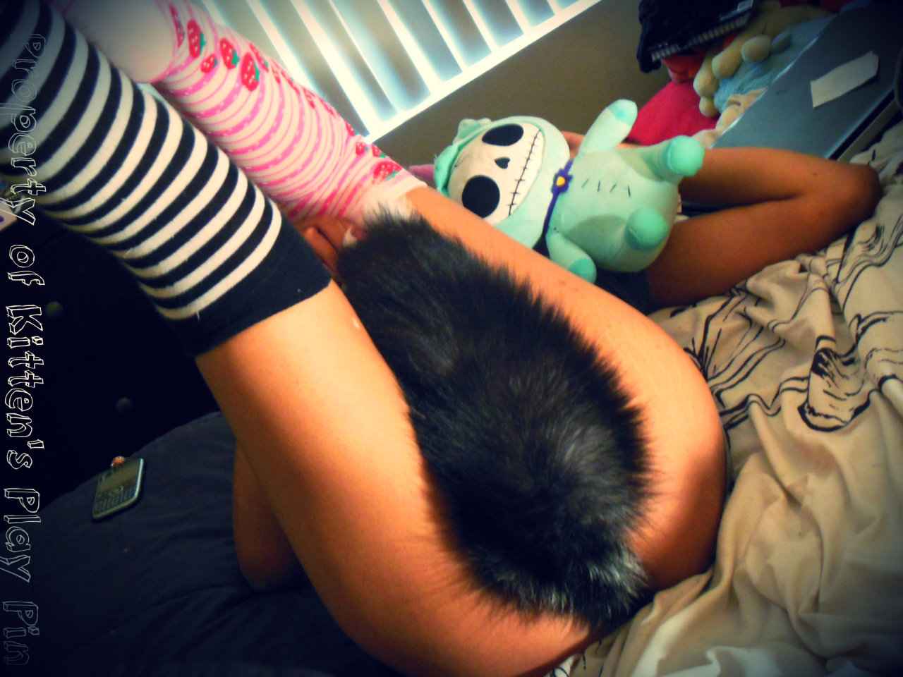 kittensplaypin:  O.O wow so many new followers! good morning every one!!  
