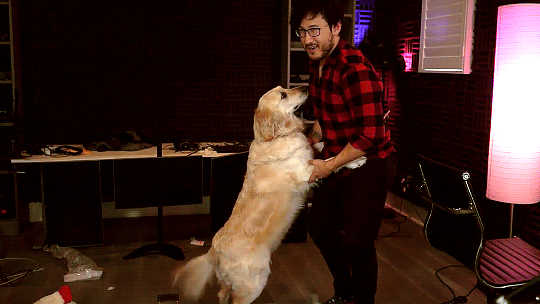 fischyplier:  This part was SO wholesome that it cleared up my acne, watered my crops,
