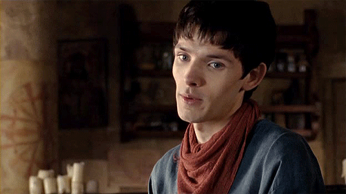 Imagine Merlin stopping mid-sentence and looking at you like this when you walk in the room