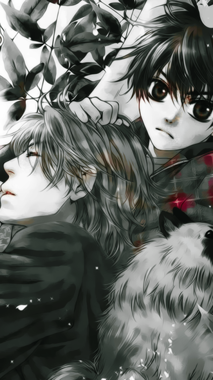 shiiori:  SUPER✰LOVERS ➝ moblie wallpapers  