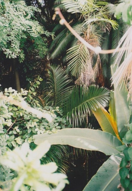 http://castawaylabel.tumblr.com/post/113154823223