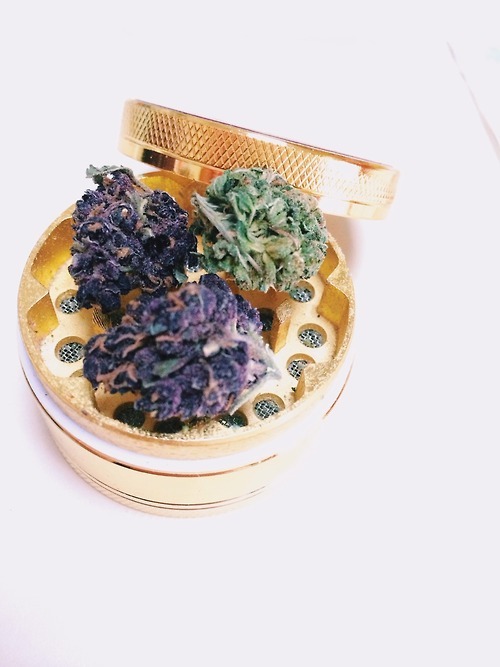 sourdiesel87:  Marijuana Life  Follow &amp; Click Here For More Stoner Pics