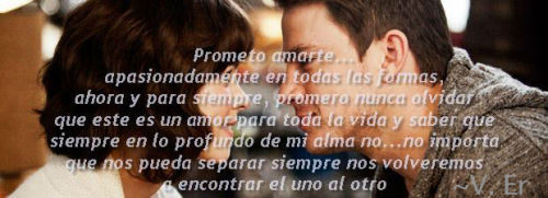 Te prometo que no prometeré nada que no pueda cumplirte, por ello te prometo que sin importar nada voy a amarte siempre con todas las fuerzas de mi alma, esperare con ansias el momento en que el destino decida unirnos nuevamente…   ~ V.Er