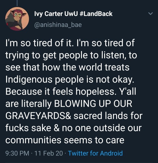 fandomshatethedisabledcommunity: nbytea:  t4t4t:    Native burial sites blown up for US border wall   Colonialism is not a concept of a bygone era.  It is a time to listen to native folx rn, partly as this isn’t being widely broadcast, because their