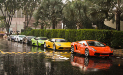 supercars-photography:  Squad