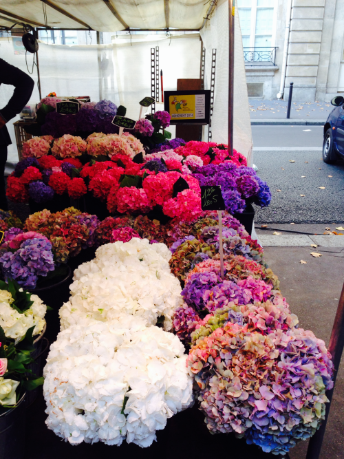 flower market