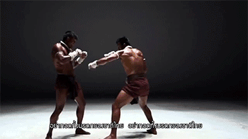 kungfutaichworld:    Muay Thai is referred to as the “Art of Eight Limbs”.  
