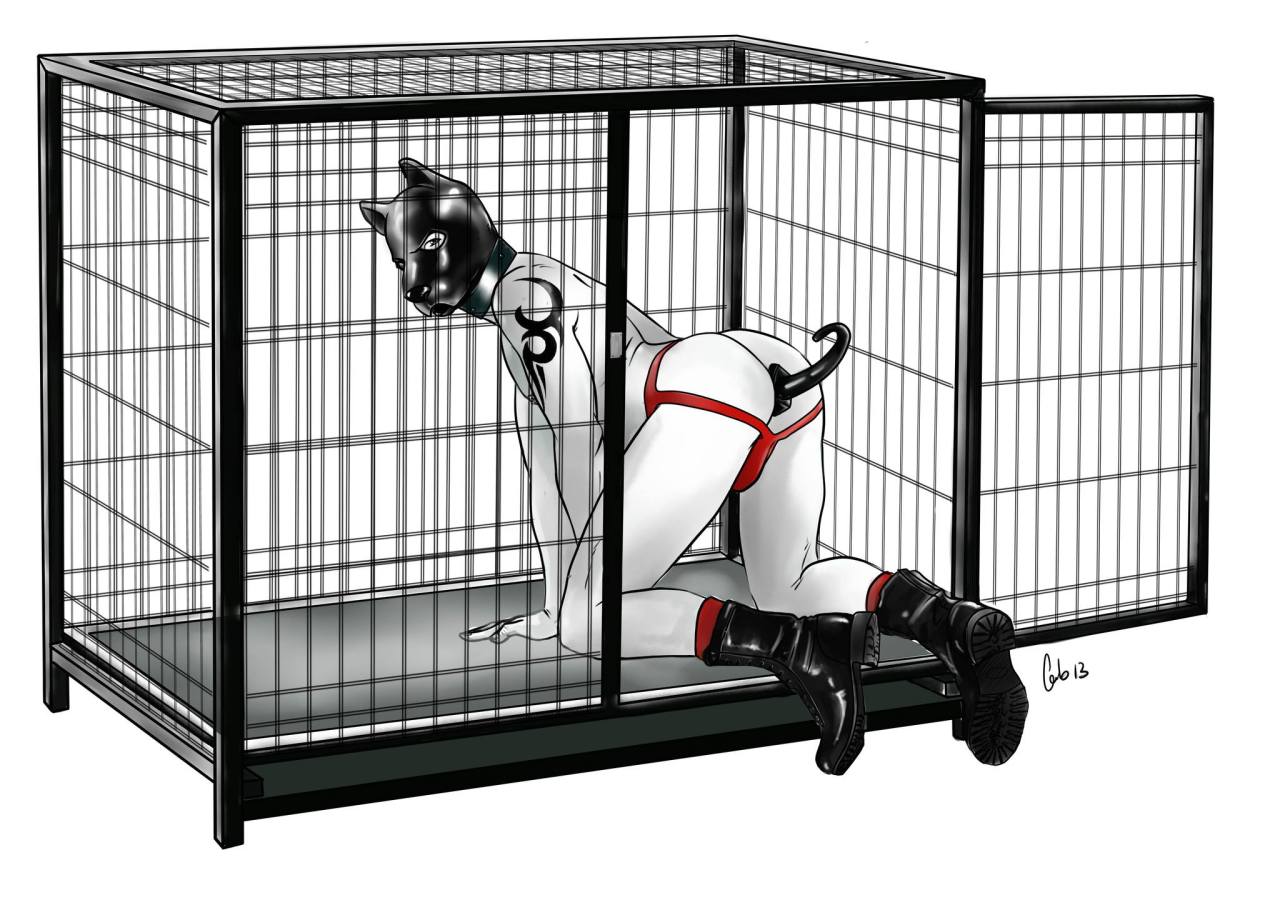 gayperverts:  Punishment or Reward for naughty puppies ? 
