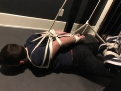 seabondagesadist:@bondageandsocks found himself in Seattle and I couldn’t help but lure him into the playroom for a tight, but short lived hogtie.  He ended up with his knees and shoulders lifted off the floor and allowed a good struggle, well as much