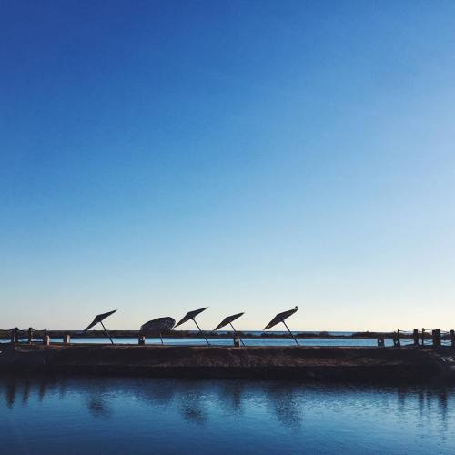 Tilted tiny umbrella #sillywhoettes. #egypt #pepmegmeinmach #thisisegypt #elgouna #sheratonmiramarre