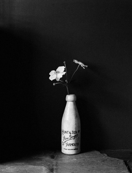 photo by hugh stewart