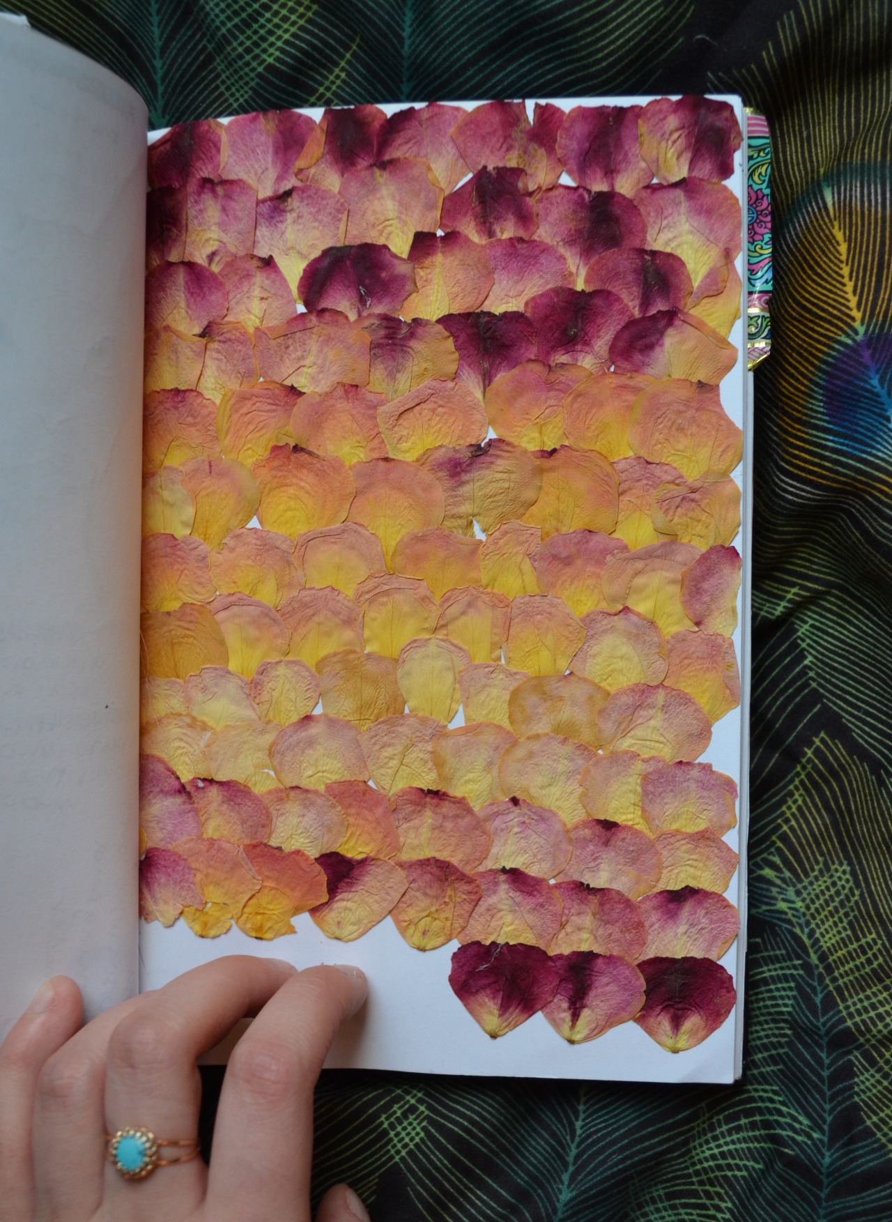 chic-ahh-go:  Sketchbook Page 59 Pressed rose petals. I had a giant bouquet of dead,