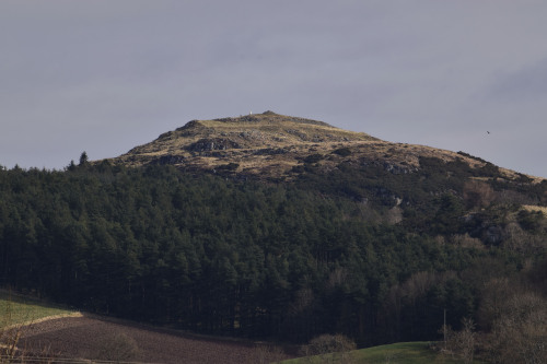 Norman’s LawThis is a well-preserved Iron Age hillfort, which was so much fun to explore. There is a