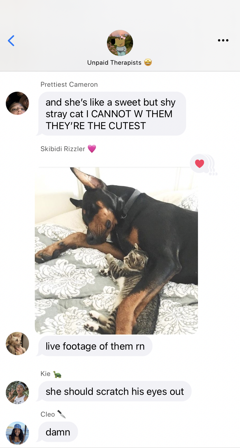 Tumblr media