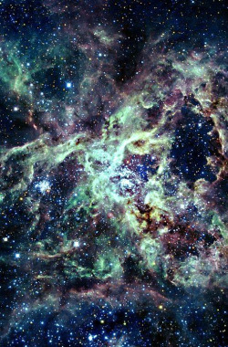 the-wolf-and-moon:Tarantula Nebula