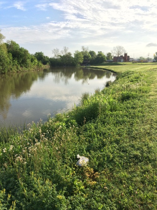 Discover the estuary.