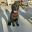 chokes-blog