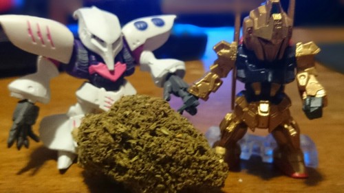 zeonfunnelcake - Sick space nugs.