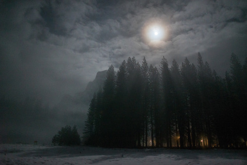 Yosemite National Park: Full Moon SnowshoeingLast weekend we went to Yosemite National Park to go sn