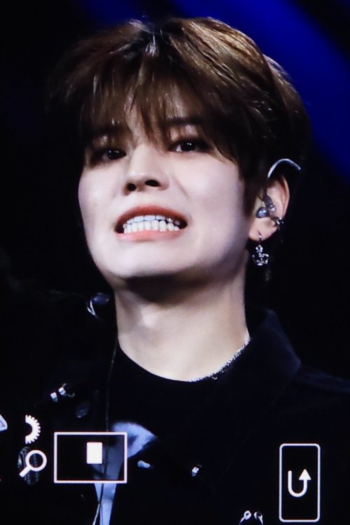 MINI PUPPY | Preview