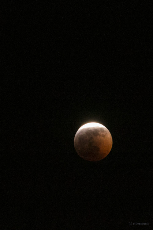 The Super Blood Wolf Moon Of 2019. Grainy Shots, But Wow, Gorgeous To Watch This Unfold.