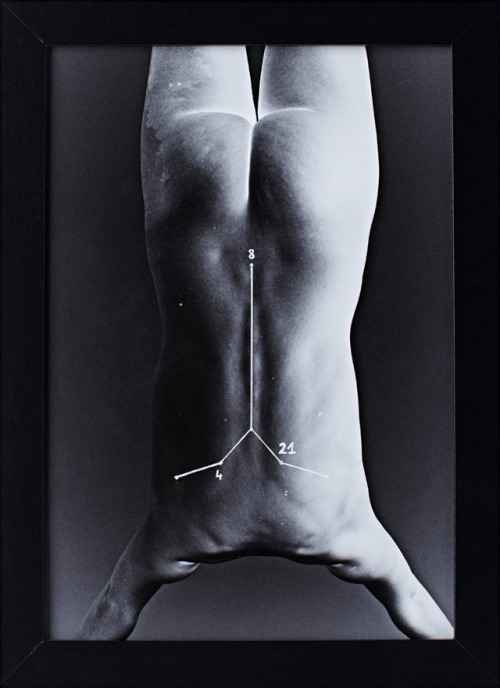Boris Makary, 4/8/21 wings, They Were, 2013. HQ.