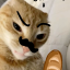 llaouv