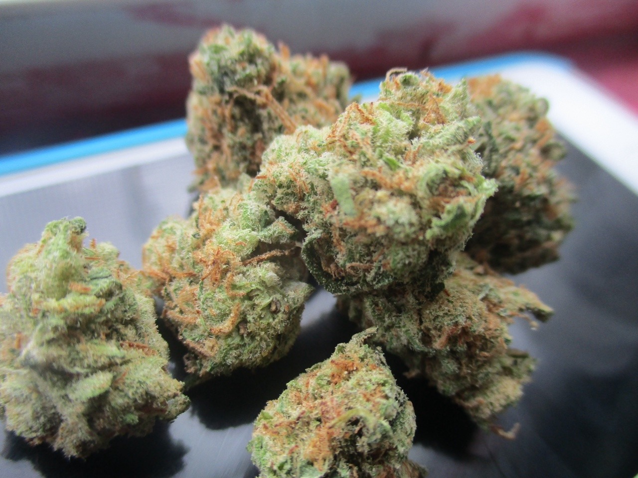 chloechronic:  jack 😋