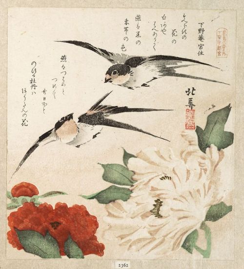 fujiwara57: SURIMONO  摺物 de Teisai Hokuba 蹄斎北馬 (1771 - 1844). Les surimono 