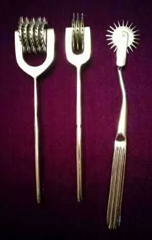 Pick your pleasure!