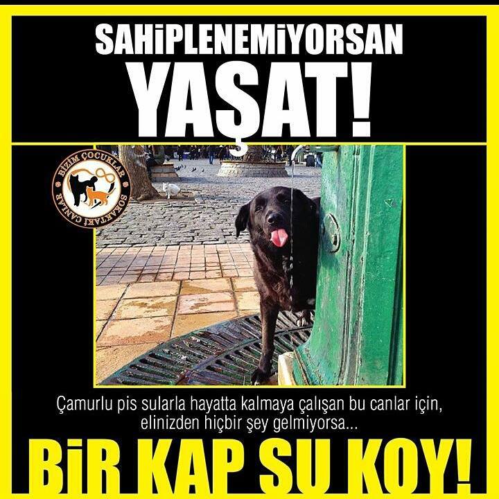 Bi Parça Gökyüzü
