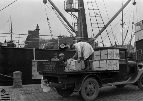 A cargo of Jaffa oranges has just arrived at Copenhagen from Palestine. This would be the 30ties.Thi