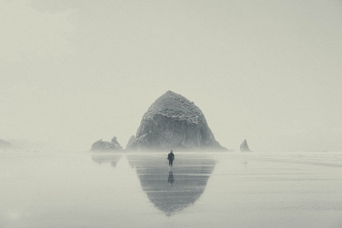 theperksofbeing-infinite:  ++