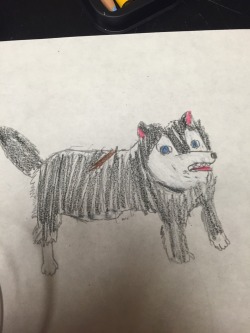 I drew my Huske today