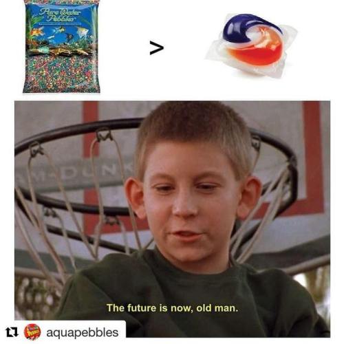 #Repost @aquapebbles (@get_repost)・・・The future is now, old man. #TidePods #aquariumrocks #aquariumg