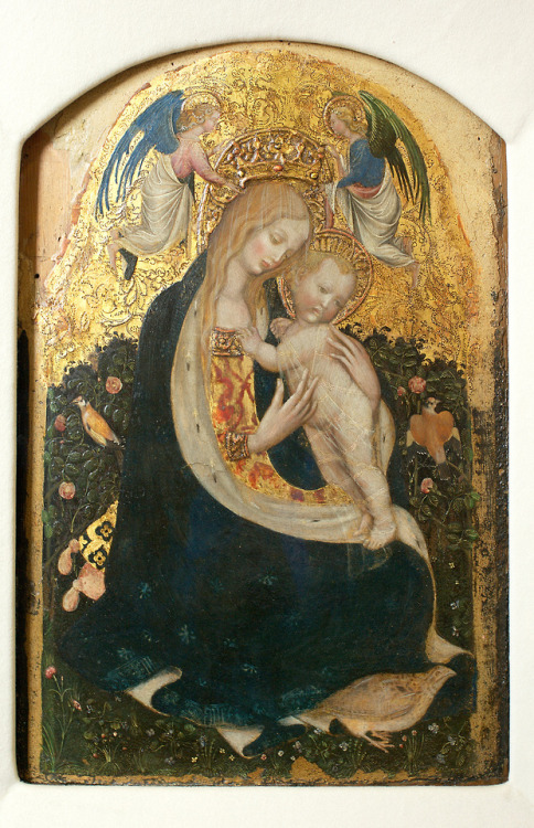 Pisanello (before 1390 - 1455 c.), Madonna della Quaglia; around 1420, tempera and gold on board, 50 x 33 cm