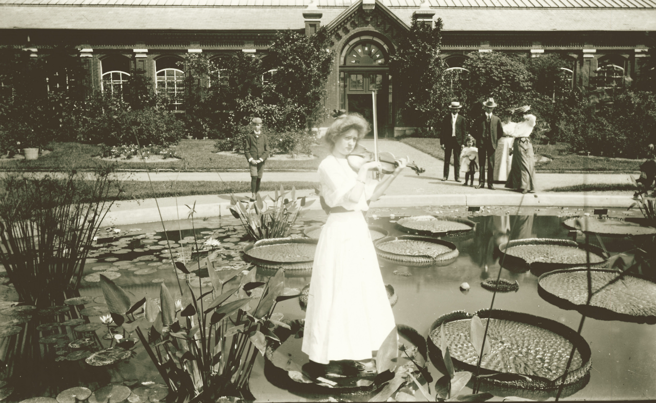 yesterdaysprint:    A young girl plays a violin while standing on lily pad in front