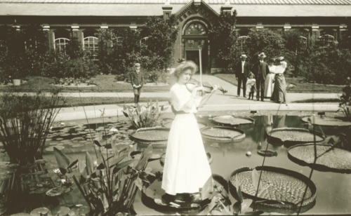 yesterdaysprint:A young girl plays a violin while standing on lily pad in front of Linnean House at 