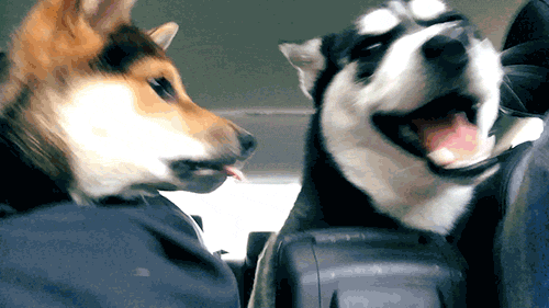 bahookies:  when u wanna make out but bae is still mad at u 