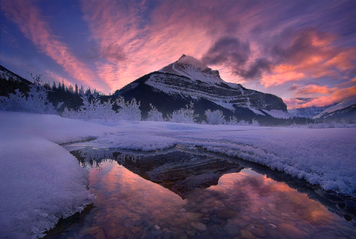 nubbsgalore: pretty in pink. photos by (clic pic) chip phillips and marc adamus. (see also: joe klam