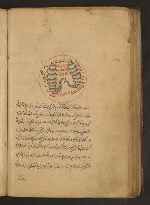 Two worms, probably not gummy. LJS 414, Astrological compendium, fol. 150v. Written at the madrasah 