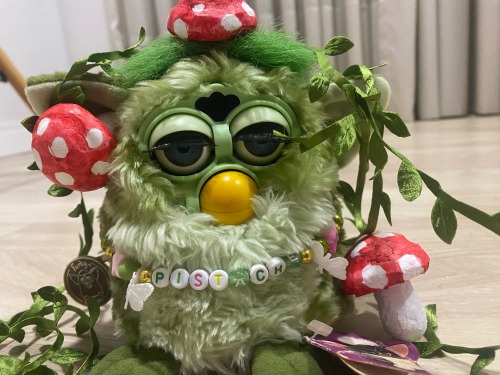 Pistachio. He Is At Your Window Right Now.