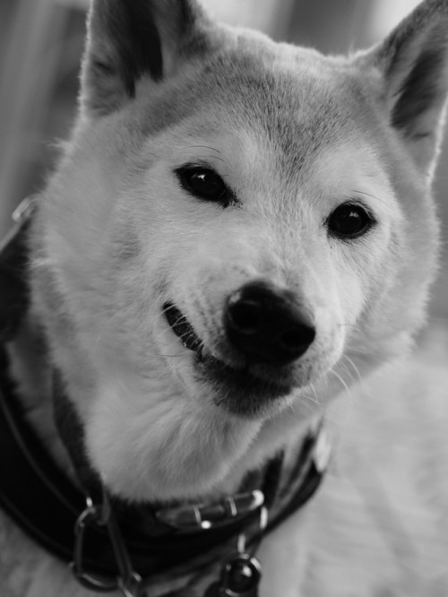 Have a smiling day!