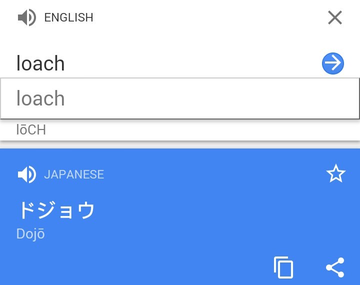 Loach Loach Tumblr Gallery