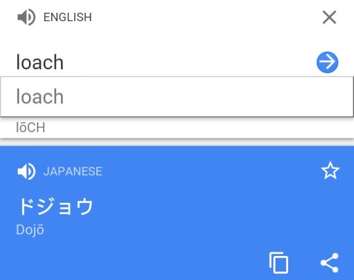 are you kidding me right now the japanese word for loach is dojo and some people call weather l